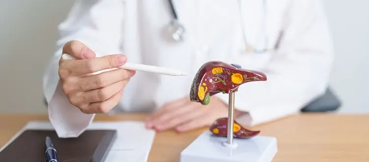 Mudar hábitos pode prevenir até 60% dos casos de câncer de fígado