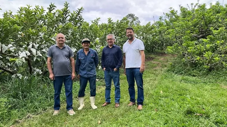 Secretaria do Verde visita produtores rurais e acompanha início da safra 2025/2026