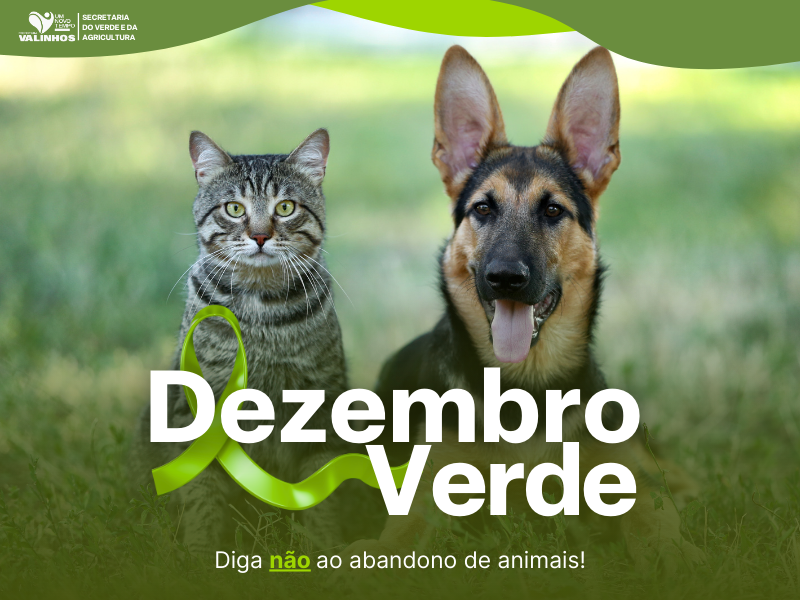 Valinhos promove campanha Dezembro Verde e reforça proteção aos animais