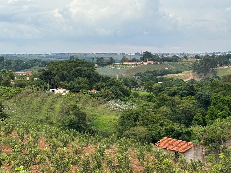 Associação Agrícola de Valinhos comemora 25 anos com foco em tecnologia, parcerias e expansão de mercado